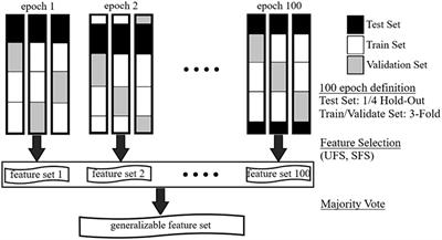 Feature Extraction and Selection for Pain Recognition Using Peripheral Physiological Signals